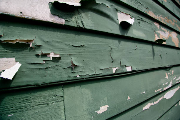 Best Residential Vinyl Siding Installation  in Newtown, OH