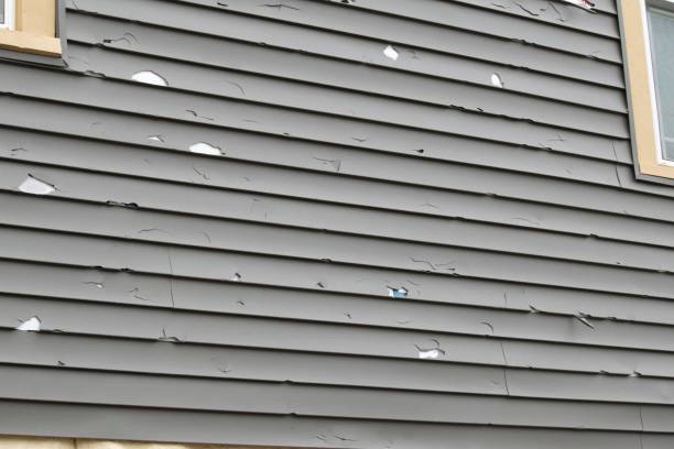 Affordable siding repair and maintenance services in Newtown, OH
