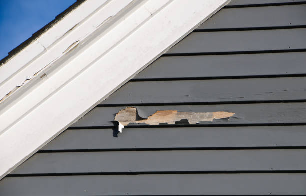 Best Storm Damage Siding Repair  in Newtown, OH